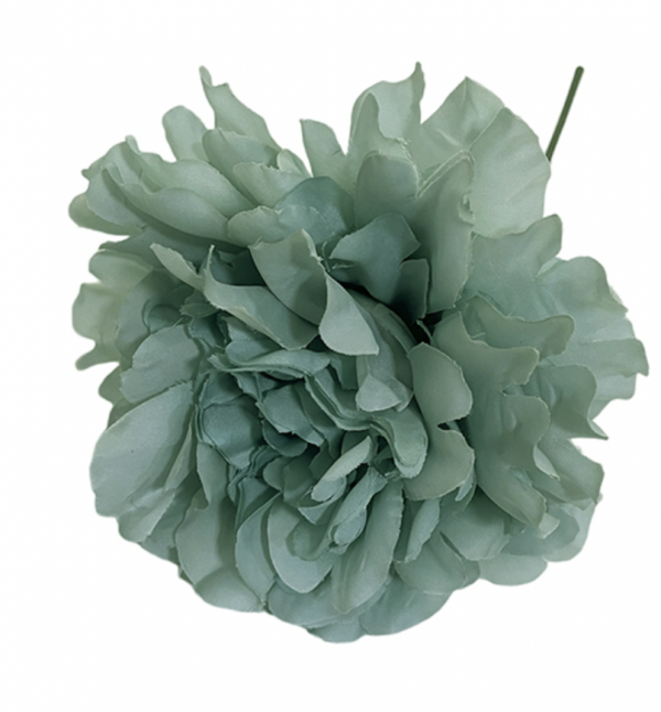Peonias - Imagen 3