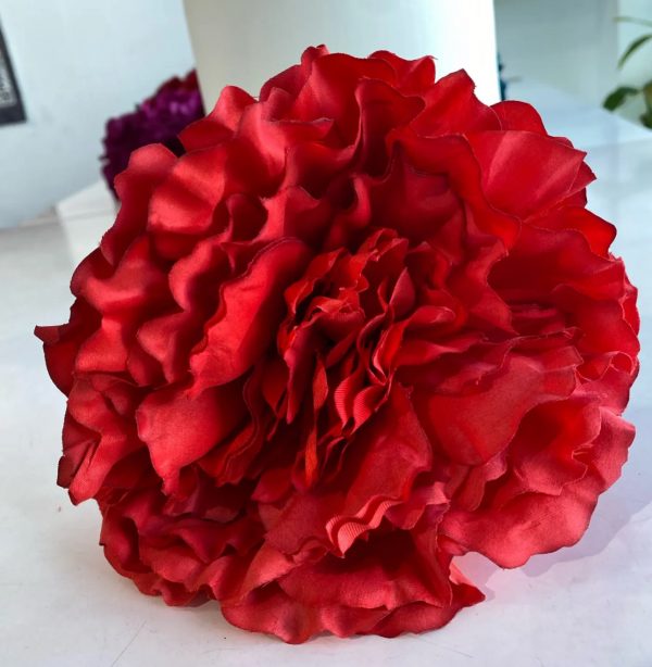 Peonias - Imagen 8